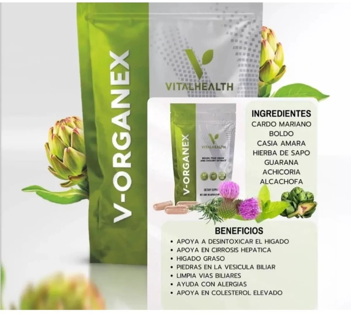 V-ORGANEX. El desintoxicante hepático 2